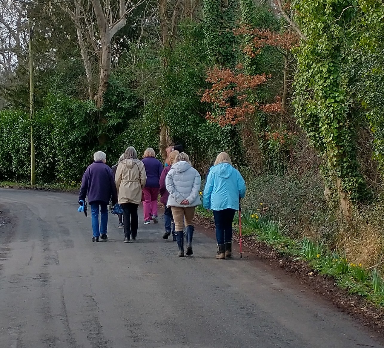 Walking Group